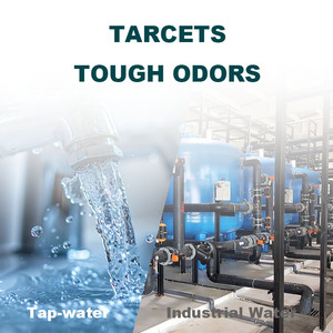 Granulés de charbon actif en coquille de noix de coco granulaire à faible teneur en cendres pour recharge de <span class=keywords><strong>purificateur</strong></span> <span class=keywords><strong>d</strong></span>'<span class=keywords><strong>eau</strong></span> granulaire - Product Image 2