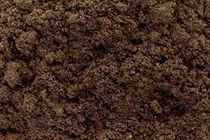 Organic Cow Dung Powder Fertilizer for Sustainable Farming & Gardening Cow Dung Powder Natural Sealed Bags or Containers 2 Years