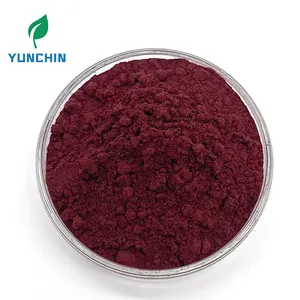 High Quality Saffron Extract Suppliers Food Grade Red Saffron Extract