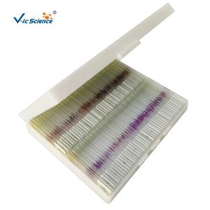 Patologie-Objektträger Lehrmittel <span class=keywords><strong>Tumor</strong></span>-Experimentierausrüstung und Artikel Professionelle Hersteller Patologie-Objektträger - Product Image 1