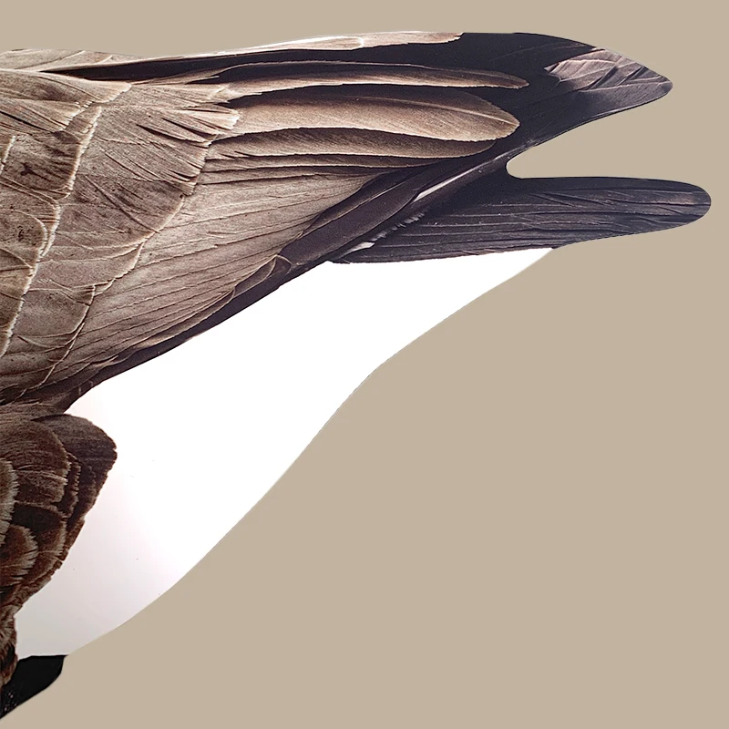 deadfall daytime hunting feeder that closes at night