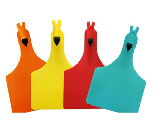 Étiquette d'oreille de bétail en TPU de style <span class=keywords><strong>t</strong></span>ête d'avion résistante à la traction et à la rupture en plastique durable - Product Image 1