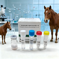 Kit de PCR en temps réel VIUICK pour la piroplasmose et la theileriose équine, bandelettes de test vétérinaire lyophilisées, 48 tests/kit, 1 an
