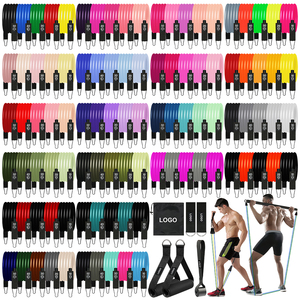 <span class=keywords><strong>Kit</strong></span> de Bandes de Résistance TPE 11 Pièces avec Accessoires pour Entraînement Complet du Corps à Domicile Personnalisable - Product Image 1