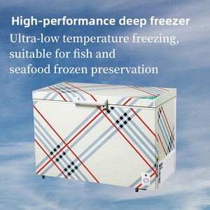 Congelador Horizontal de Doble Temperatura con Control Mecánico de Temperatura, Gran Capacidad, para Helados y Conservación de Alimentos - Product Image 2