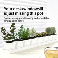 Pots à plantes succulentes carrés blancs avec plateau de drainage, pots de pépinière en plastique pour cactus, petites plantes, décoration de bureau à domicile