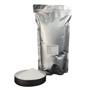 Factory Hot Sale Produkt 1kg 20kg Weißer DTF-Klebstoff Heiß schmelz kleber Weißes Pulver für DTF-Wärme übertragungs folie