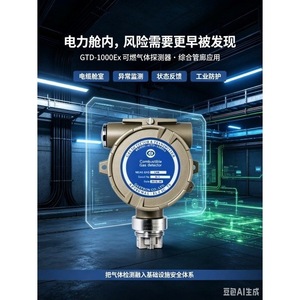 GTD-1000Ex เครื่องตรวจจับก๊าซที่ติดไฟได้ ไฮโดรเจน มีเทน บิวเทน เซ็นเซอร์ตรวจจับความปลอดภัยทางอุตสาหกรรม - Product Image 3
