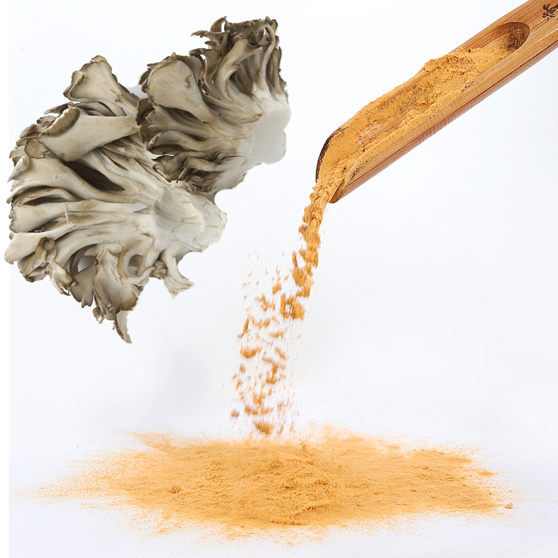 Dried Maitake High Quality Dried Mushrooms