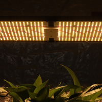 Livraison gratuite dans l'UE, Kingbrite 240W IP65 Étanche Samsung LM301H EVO Epistar 660NM UV IR King Brite Plein spectre LED Lampe de culture