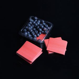 Bandeja de Plástico Desechable de Alta Calidad para Carne, 76x76mm, con Almohadilla Absorbente para Fresas - Product Image 2