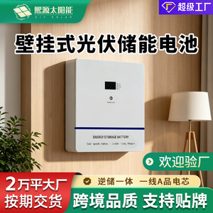 Energy Storage <b>Battery</b> 51.2V 100Ah LiFePO4 Wall <b>Mounted</b> Hybrid Grid Rs485 Communication Solar Home Use - Product Image 3