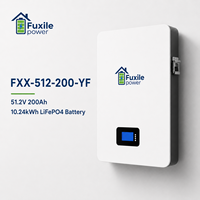 Batterie LiFePO4 murale 51,2 V 200 Ah 10,24 kWh, IP65, avec BMS intégré, 6000 cycles, RS485 CAN RS232, pour stockage d'énergie solaire domestique