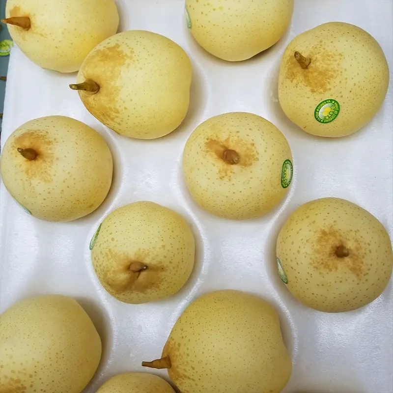 中国産の高品質の新鮮な黄梨