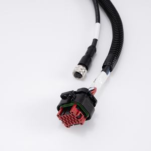 Kustom baru hemat energi otomotif kawat memanfaatkan modul penguat daya modifikasi diproduksi otomotif kawat <span class=keywords><strong>Harness</strong></span> Perusahaan - Product Image 2