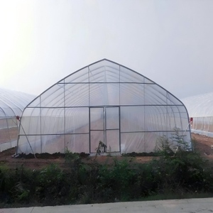 <span class=keywords><strong>Serre</strong></span> en <span class=keywords><strong>plastique</strong></span> à une seule travée avec structure en acier galvanisé et film PE pour les semis de légumes et de fleurs - Product Image 4