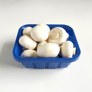 Bandeja de Plástico Desechable para Envasado de Champiñones, 230g 350g 460g, Envase de Plástico PET para Verduras, Caja de Plástico para Envasado de Frutas - Product Image 2