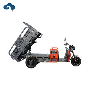 Tricycle électrique en gros en Chine Vélo cargo familial Trike à 3 roues pour le <span class=keywords><strong>transport</strong></span> de marchandises - Product Image 4