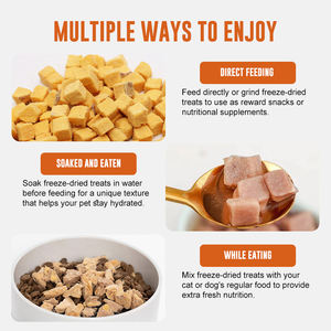 Mezcla de Salmón Liofilizado de Grado Humano en Bolsa de 100g, Directo de Fábrica, Sin Aditivos para Perros y Gatos, Compatible con OEM y ODM - Product Image 6