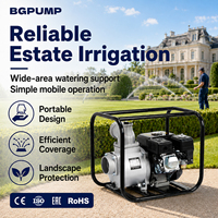 Petite pompe à moteur diesel pour le drainage d'eau d'urgence