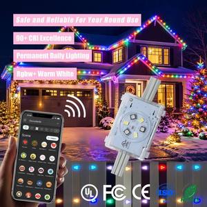 48V Wifi Controller Led <b>Point</b> <b>Lights</b> Ip68 Outdoor Permanent Track Christmas Lighting for Building Decor - Product Image 1