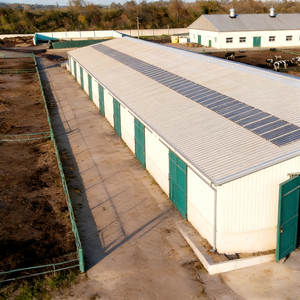 Stalla per Bestiame a Struttura in Acciaio a Montaggio Rapido per l'Ingrassamento del Bestiame Bovino, Stalla Prefabbricata Economica Anti-Corrosione - Product Image 5