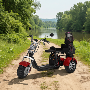 Scooter de golf électrique à trois roues avec pneus larges, GPS, pliable et étanche, moteur 2000W/3000W, batterie au lithium, porte-sac - Product Image 1