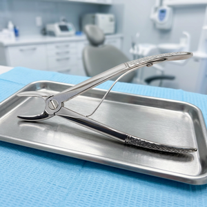 Pinzas de Extracción Dental de Acero Inoxidable Tarrant Global VEF02, Instrumento Manual para Uso en Clínicas Veterinarias, Certificado ISO - Product Image 3