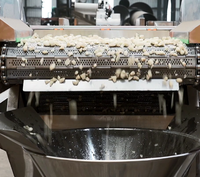 Ligne de production de pâte d'ail industrielle multifonctionnelle de haute qualité, machine automatisée de pelage et de traitement de l'ail