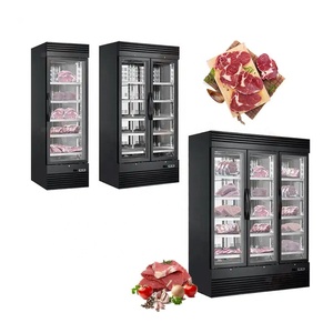 CarBon Kitchen Commercial Dry Ager <b>Freezer</b> Stainless Steel 2 Door Air Cooling Automatic Defrost 4-6 Shelves Meat Beef Steak Dry - Product Image 5
