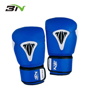 Guantes de Boxeo BN al por Mayor, Guantes Profesionales de Entrenamiento para Niños, Guantes de Boxeo MMA para Niños, Guantes Pretorian - Product Image 1