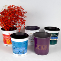 Grands Pots de plantes pour pépinière, bac à plantes, 30 pièces, tailles multiples, pour repiquage, Style nordique, en plastique, Double couleur