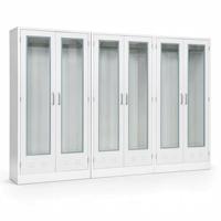 Armoire de rangement de laboratoire moderne entièrement en acier, finition thermolaquée, résistante aux produits chimiques, pour projets hospitaliers et scolaires