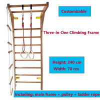 Vente directe d'usine. Structure d'escalade en bois solide et durable. Équipement d'entraînement sensoriel en intérieur.