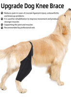 Attelle de rotule à luxation de jambe arrière de chien pour entorse ACL CCL arthrite garde les articulations chaudes et stables pour la formation et le comportement des animaux de compagnie