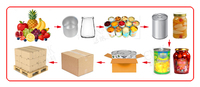 ENAK Automatische productielijn voor ingeblikte gele perziken, kersen, aardbeien, longan, lychees, mango's, peren en ingelegd fruit.