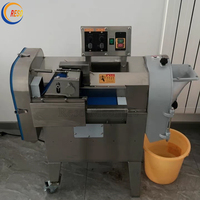 Elektrische Commerciële Snijmachine Voor Groenten En Fruit