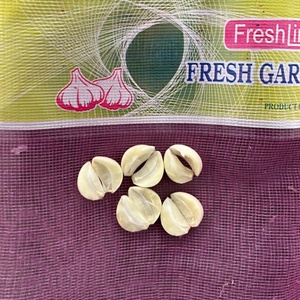 购买中国新作物新鲜白蒜从冷库，5千克/网袋，5.0厘米 - Product Image 5