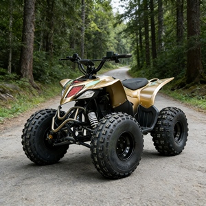 Buggy Cuatro por Cuatro Asequible, Modelo con <span class=keywords><strong>Precio</strong></span> Competitivo que Ofrece Características Todoterreno sin el Alto Costo - Product Image 2