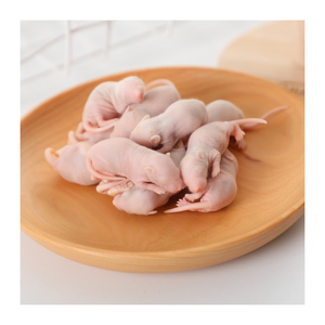 Souris entières lyophilisées pour serpents, reptiles, lézards, oiseaux de proie, furets, mouffettes, opossums, hérissons, et glisseurs sucrés - Product Image 1