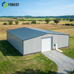 Entrepôt logistique modulaire en acier préfabriqué robuste, grande structure industrielle préfabriquée à portée libre - Product Image 1
