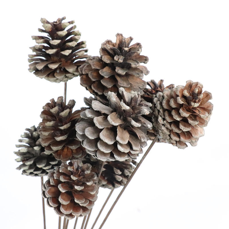 批发干花装饰松果独特的ins风格婚纱墙装饰家居布置 - buy pinecones