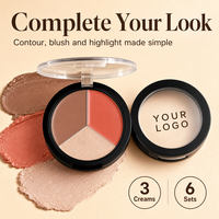 Palette de maquillage quotidienne bio OEM ODM : illuminateur, contour, blush pigmenté, waterproof, fini naturel, effet repulpant pour les lèvres