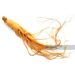 Factory supply high quality ginseng extract 100% pure and natural korean panax ginseng essential oil