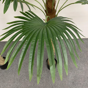 Ventaglio artificiale pianta sempreverde in plastica con 149 in vaso pianta <span class=keywords><strong>da</strong></span> <span class=keywords><strong>giardino</strong></span> stile fiorista Bonsai - Product Image 3