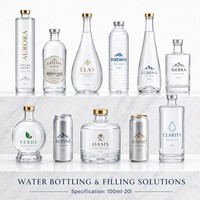 Solution clé en main complète pour la production d'eau potable pure en bouteilles en verre et en PET, ligne de production d'eau monobloc avec rinçage, remplissage et bouchage