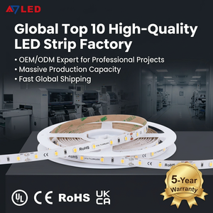 ไฟแถบ LED พรีเมียม 60LEDs/เมตร 24V SMD 2835 UKCA CE UL แบบยืดหยุ่น พร้อมรับประกัน 5 ปี สำหรับป้าย - Product Image 5