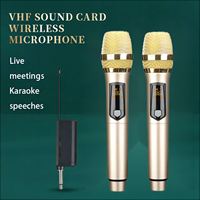 Système de microphone sans fil professionnel de vente chaude avec microphone sans fil universel à bas prix