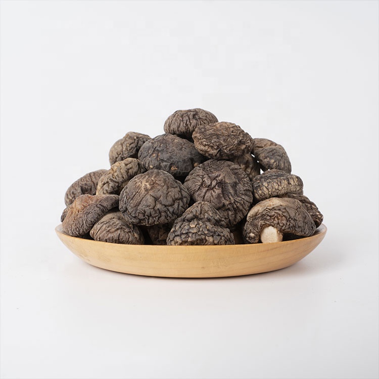 Оригинальный производитель Funghi Shitake, цена, энкуртиды, 2-3 см, деньги, грибы Shitake