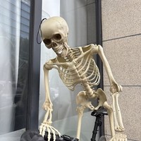 Décorations d'Halloween, accessoires animés, squelette de taille réelle de haute qualité avec articulations mobiles, 5,4 pieds de haut